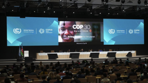 What South Asia wants from COP30