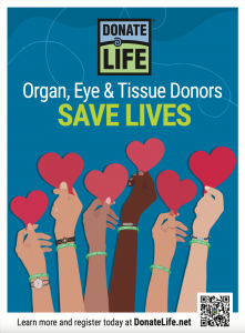 Government Simplifies Organ Transplant Rules