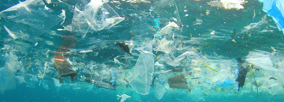 India's War on Plastic: From Policy to Progress