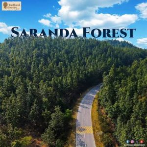 SC Directs Jharkhand to Notify Saranda Wildlife Sanctuary