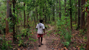 The legal hoodwinking of Adivasis