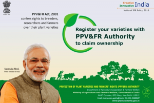 Revisiting Seed Rights: Govt Initiates Major Overhaul of PPV&FRA Act