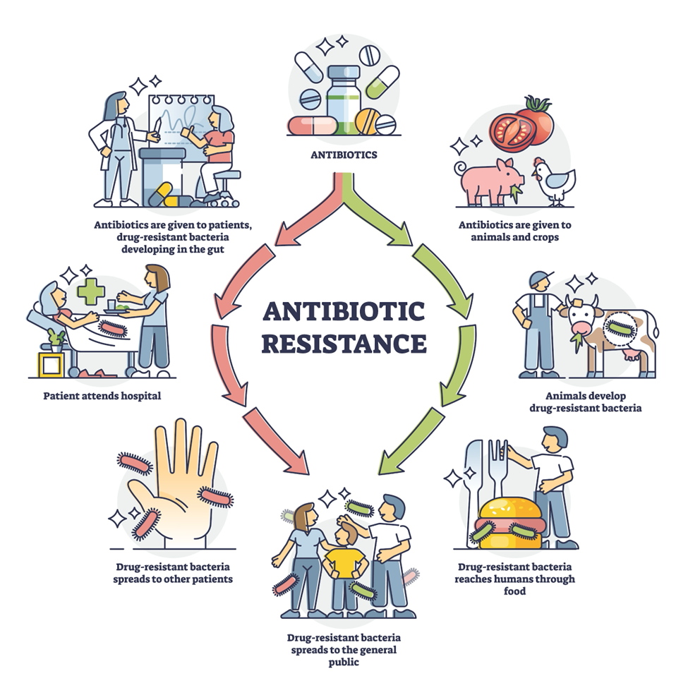 NCDC flags study on rising antibiotic resistance in India