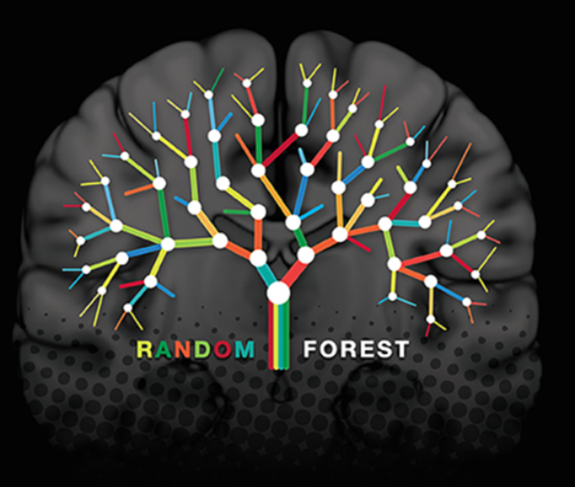 AI in Paleontology: The Random Forest Algorithm