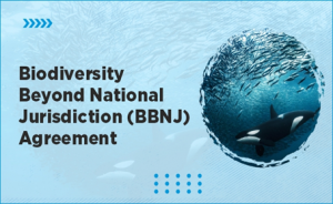 The Biodiversity Beyond National Jurisdiction (BBNJ) Treaty