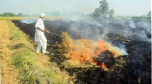 Stubble Burning
