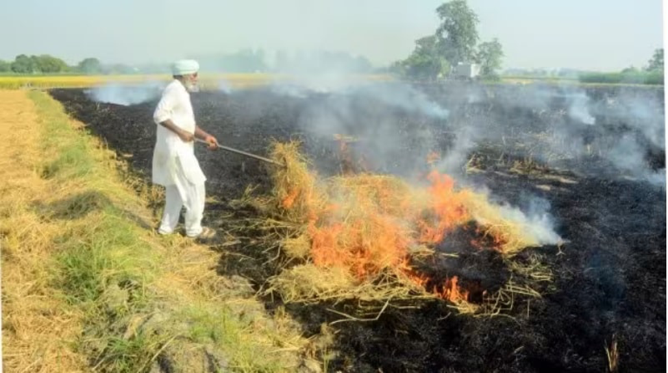 Stubble Burning