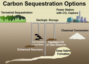 CARBON SEQUESTRATION
