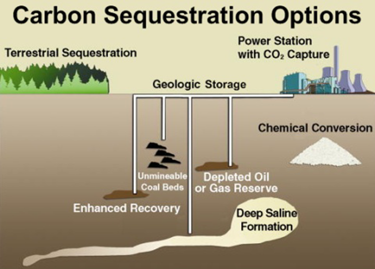CARBON SEQUESTRATION