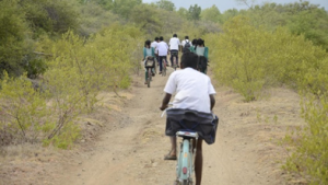 Stark Reality of India's Educational Costs: Widening Equity Gap