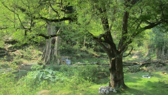 CLIMATE MOVEMENT: FROM GLOBAL ADVOCACY TO PEOPLE-CENTRED CLIMATE GOVERNANCE