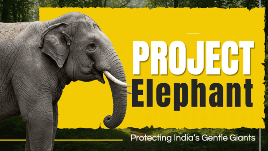 Project Elephant