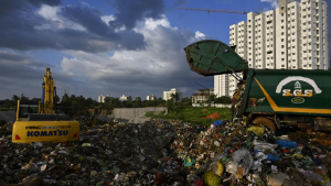 Why Does India Need Bioremediation?