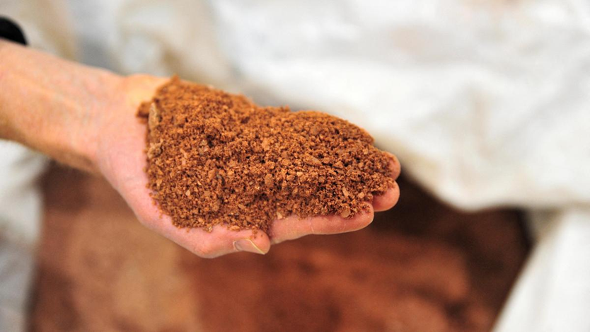 Can India become self-reliant in REE production?