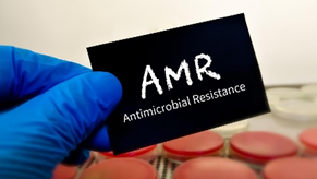 National Action Plan on Antimicrobial Re sistance (NAP-AMR) 2.0 (2025-29)