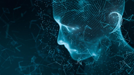 Digital Constitutionalism: Protecting Constitutional Values in the Algorithmic Era