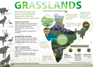 ECOLOGICAL SIGNIFICANCE AND RESTORATION OF INDIAN GRASSLANDS