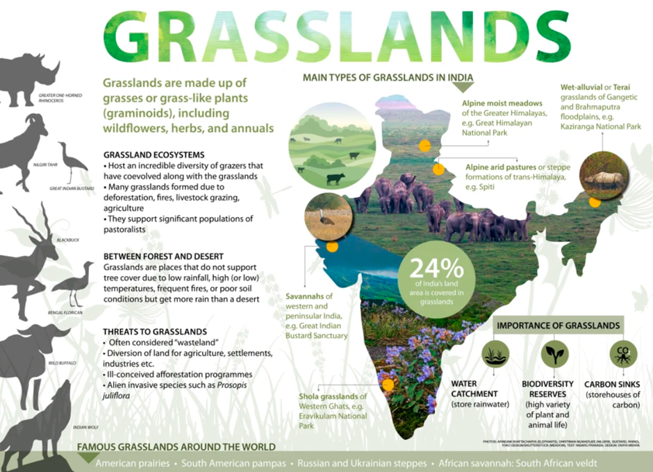 ECOLOGICAL SIGNIFICANCE AND RESTORATION OF INDIAN GRASSLANDS