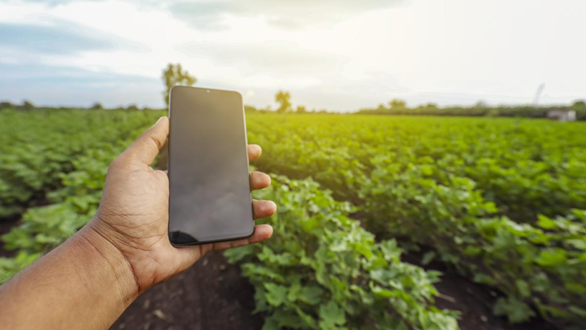 Surveillance apps in welfare, snake oil for accountability