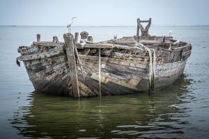 Fisheries and Seafood Export Sector in India