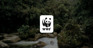 WORLD WILDLIFE FUND (WWF)