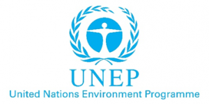 United Nations Environment Programme (UNEP): Mandate, Functions, and Environmental Governance