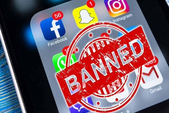 Social Media Regulation for Children: Beyond Bans Towards a Healthy Digital Ecology